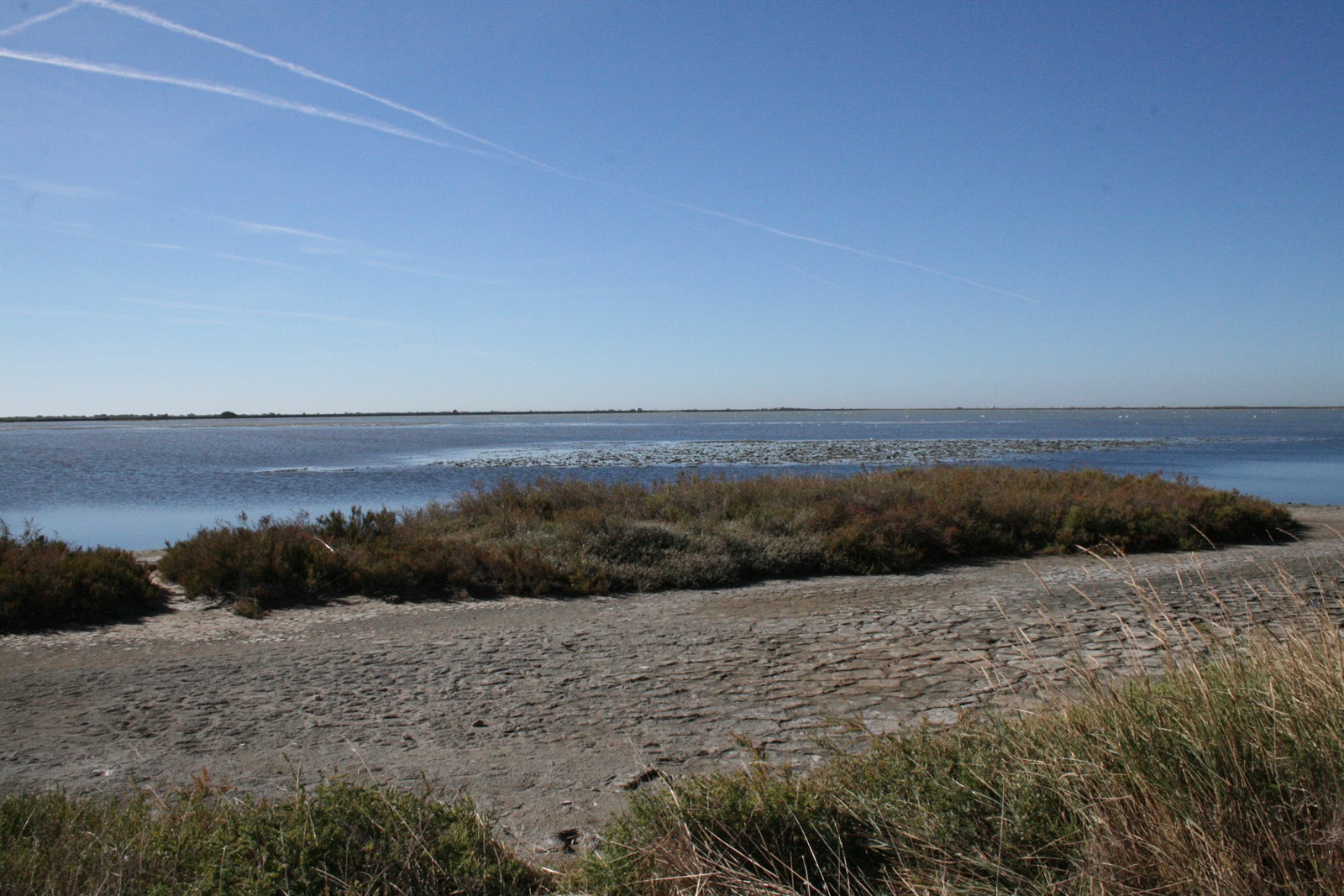 Camargue in de Provence bezoeken? Alle info en bezienswaardigheden