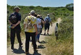 Champagnewandeling in De Panne