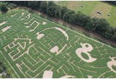 Kempens Landschap: nieuw maïsdoolhof