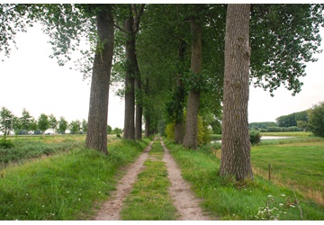 Mindful wandelen in Meetjesland