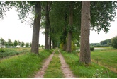 Mindful wandelen in Meetjesland