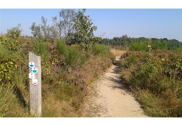 Thor Park, nieuw wandelgebied