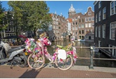 Fietsparadijs: Must-Visit Plaatsen voor fietsers in Nederland