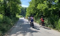 5-daagse fietsrondreis: Op wijnsafari in de Marken