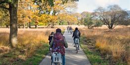 Groepsreis 4-daagse fietsvakantie Gelderland