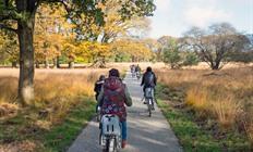 Groepsreis 4-daagse fietsvakantie Gelderland