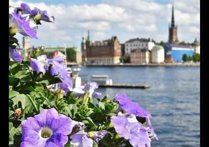 Groepsreis 7 dagen: Kopenhagen, Roskilde en Stockholm